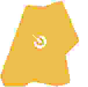 region_image_alt